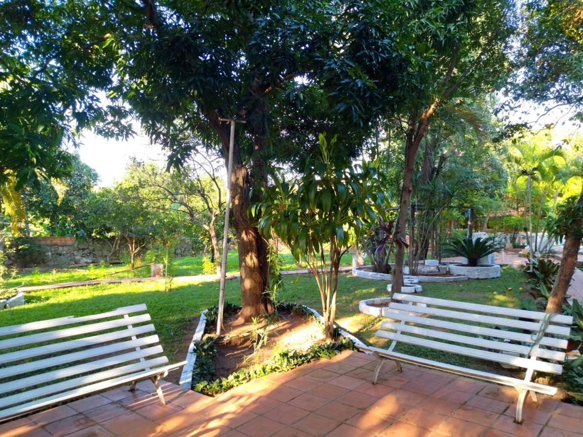 Hotel La Aparesida อเรกัว ภายนอก รูปภาพ