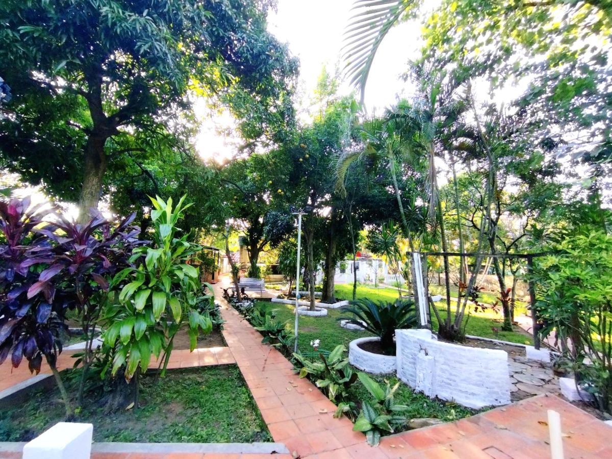 Hotel La Aparesida อเรกัว ภายนอก รูปภาพ